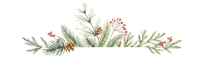 top-pine-bough